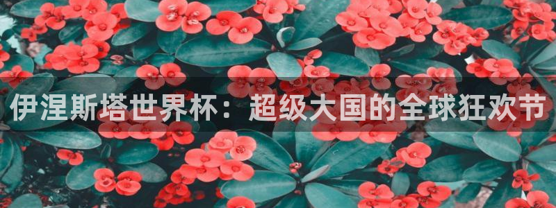 世界杯球队:伊涅斯塔世界杯:超级大国的全球狂欢节