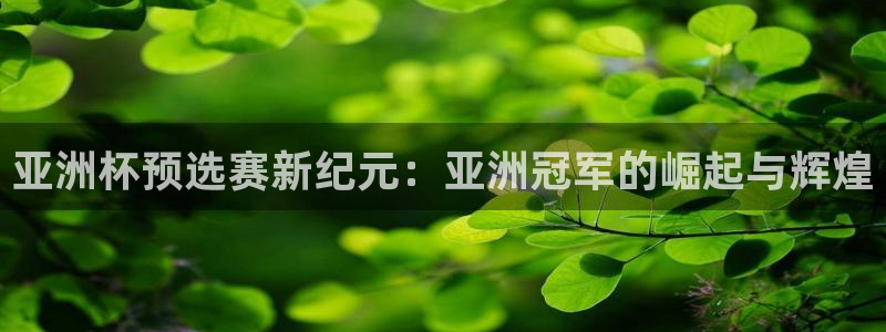 世预赛直播:亚洲杯预选赛新纪元:亚洲冠军的崛起与辉煌