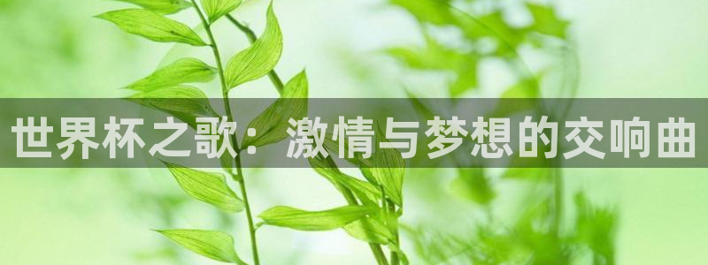 2026世界杯足球赛程时间表:世界杯之歌:激情与梦想的交响曲