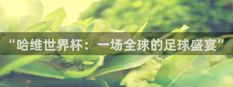 欧洲世界杯预选赛赛程:“哈维世界杯:一场全球的足球盛宴”