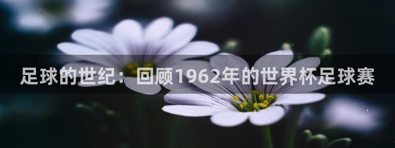 世界杯系列赛:足球的世纪:回顾1962年的世界杯足球赛